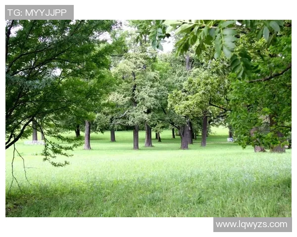 如何制作足球球星照片框并巧妙展示你的收藏与回忆